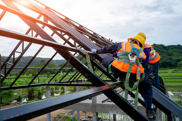 Roof Gutter Cleaning in Sheldon, TX